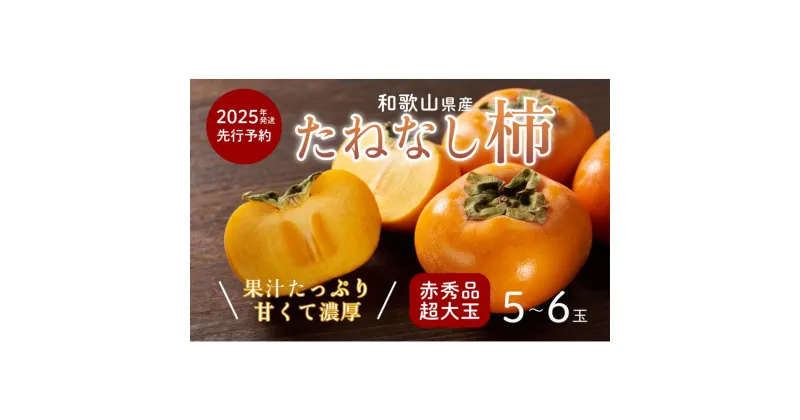 【ふるさと納税】柿 種無し 赤秀品 超大玉 約1.8kg 5～6個 【先行予約】【2025年9月下旬から10月下旬頃発送】【KG4】 | 柿 かき フルーツ 果物 くだもの 食品 人気 おすすめ 送料無料