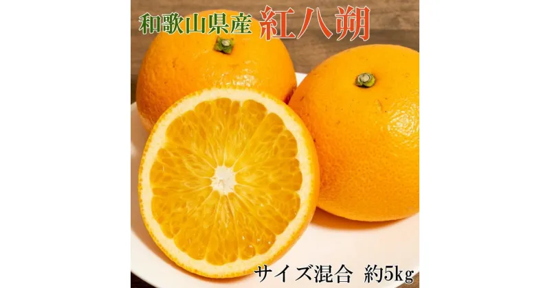 【ふるさと納税】【希少品】和歌山県産紅八朔約5kg（サイズ混合）★2025年1月下旬頃より順次発送【先行予約】 | 八朔 はっさく 柑橘 フルーツ 果物 くだもの 食品 人気 おすすめ 送料無料