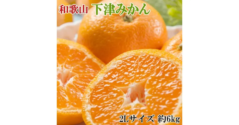 【ふるさと納税】【産直・秀品】和歌山下津みかん約6kg（2Lサイズ）★2024年11月中旬頃より順次発送【TM75】 | フルーツ 果物 くだもの 食品 人気 おすすめ 送料無料