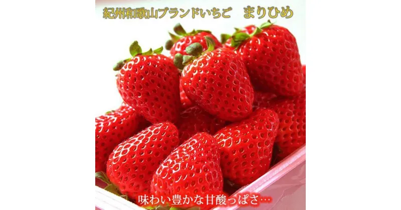 【ふるさと納税】紀州和歌山ブランドいちご「まりひめ」約250g×4P 【2025年2月上旬頃～2025年3月下旬頃に順次発送】【UT39】