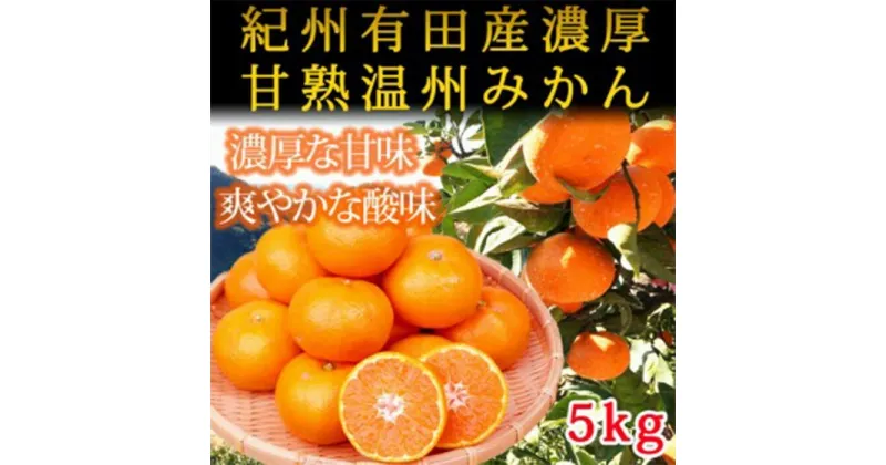 【ふるさと納税】魚鶴商店のフルーツ定期便（みかん・オレンジ・桃・柿）【発送月固定 定期便 全4回】