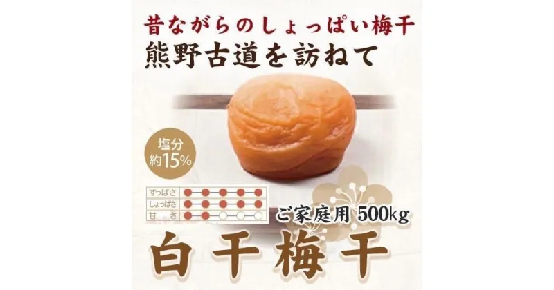 【ふるさと納税】【ご家庭用】紀州南高梅 白干梅干し 500g 【US34】【準備でき次第、順次発送】 | 梅干 食品 加工食品 人気 おすすめ 送料無料