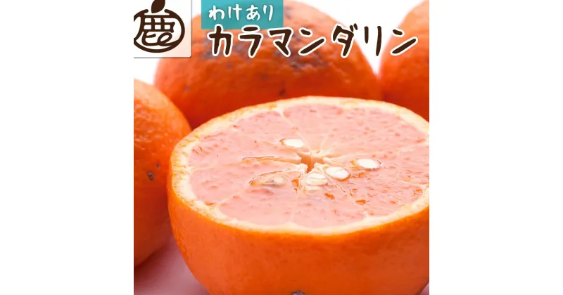 【ふるさと納税】【 家庭用 】 カラマンダリン 約2.5kg+75g（傷み補償分）【希少な春柑橘】【みかんと同じように食べられます】【2025年4月初旬～2025年5月末日頃 順次発送予定】【IKE68】 | オレンジ フルーツ 果物 くだもの 食品 人気 産地直送 おすすめ 送料無料