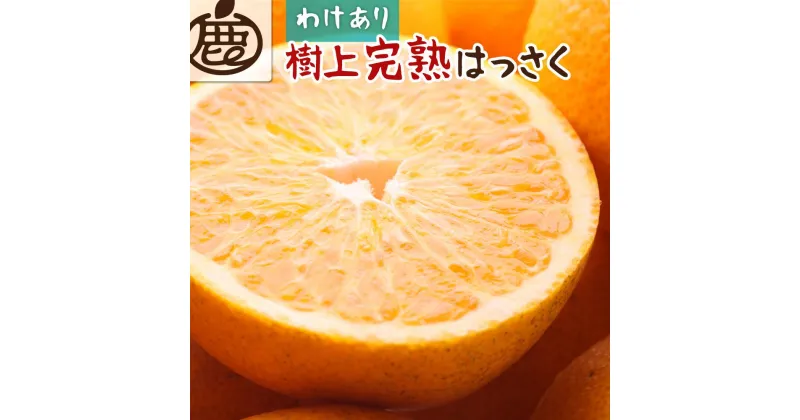 【ふるさと納税】【 家庭用 】 樹上完熟はっさく約3kg+90g（傷み補償分）【八朔】【わけあり・訳あり】【さつき・木成】【2025年4月初旬～2025年5月末日頃 順次発送予定】【IKE34】 | フルーツ 果物 くだもの 食品 人気 産地直送 おすすめ 送料無料