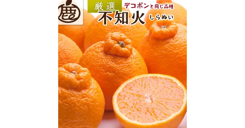 【ふるさと納税】厳選 不知火 約1.7kg+51g（傷み補償分）【人気の春みかん】【2025年2月初旬～2025年3月末日頃 順次発送予定】【IKE48】 | 不知火 フルーツ 果物 くだもの 食品 人気 産地直送 おすすめ 送料無料