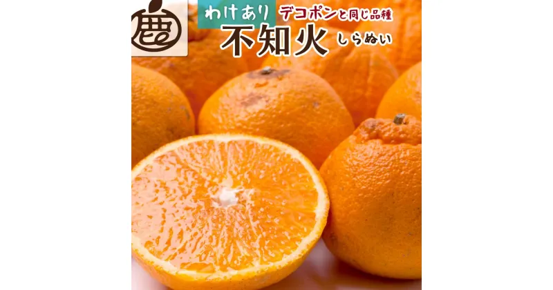 【ふるさと納税】【 家庭用 】 不知火 約2.5kg+75g（傷み補償分）【わけあり・訳あり】【人気の春みかん】【2025年2月初旬～2025年3月末日頃 順次発送予定】【IKE51】 | 不知火 フルーツ 果物 くだもの 食品 人気 産地直送 おすすめ 送料無料