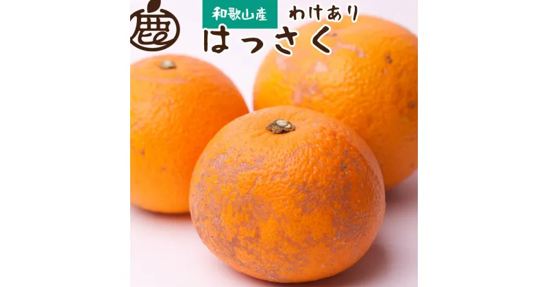 【ふるさと納税】【 家庭用 】 はっさく 約6.5kg+195g（傷み補償分）【八朔みかん・ハッサク】【わけあり・訳あり】【2025年1月上旬～2025年3月末日頃 順次発送予定】【IKE29】 | 柑橘 フルーツ 果物 くだもの 食品 人気 産地直送 おすすめ 送料無料