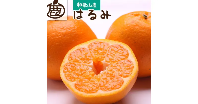 【ふるさと納税】厳選 はるみ約3kg+90g（傷み補償分）【不知火の姉妹品種・新食感春みかん】【2025年2月初旬～2025年3月末日頃 順次発送予定】【IKE44】 | 柑橘 フルーツ 果物 くだもの 食品 人気 産地直送 おすすめ 送料無料