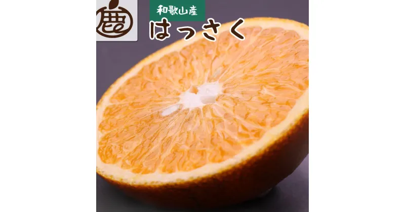 【ふるさと納税】厳選 はっさく 約3.5kg+105g（傷み補償分）【八朔みかん・ハッサク】【2025年1月上旬～2025年3月末日頃 順次発送予定】【IKE25】 | フルーツ 果物 くだもの 食品 人気 産地直送 おすすめ 送料無料 八朔みかん ハッサク