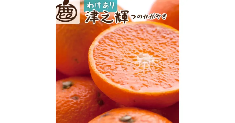 【ふるさと納税】【 家庭用 】 津之輝 約2kg+60g（傷み補償分）つのかがやき【わけあり・訳あり】【光センサー選別】【2025年2月初旬～2025年4月中旬頃 順次発送予定】【IKE58】 | 柑橘 フルーツ 果物 くだもの 食品 人気 産地直送 おすすめ 送料無料