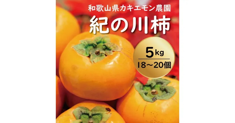 【ふるさと納税】カキエモン農園の紀の川柿 約5kg 18 ～ 20個【9月下旬～11月末頃発送】 | 柿 かき フルーツ 果物 くだもの 食品 人気 おすすめ 送料無料