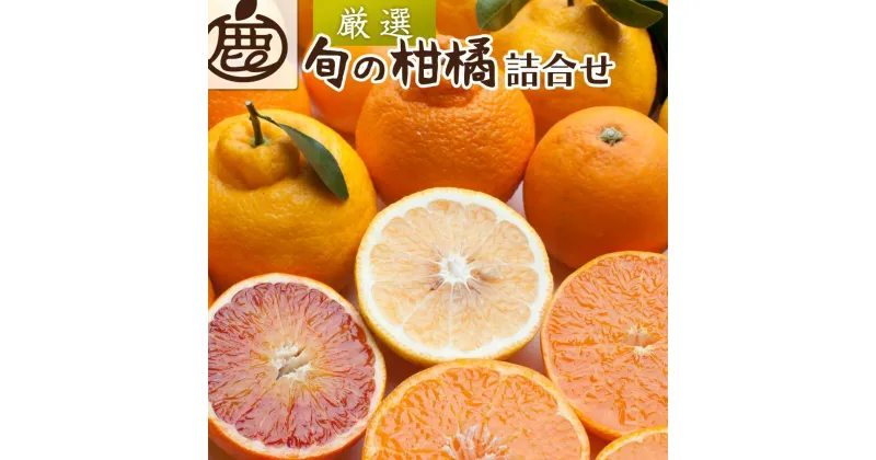 【ふるさと納税】＜1月上旬～4月下旬発送＞厳選 柑橘詰合せ約2kg+60g（傷み補償分）【有田の春みかん詰め合わせ・フルーツ詰め合せ・オレンジつめあわせ】【光センサー選別】 | フルーツ 果物 くだもの 食品 人気 おすすめ 送料無料