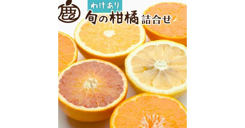 【ふるさと納税】＜1月上旬～4月下旬発送＞【家庭用】柑橘詰合せ約3kg+90g（傷み補償分）【訳あり・わけあり】【有田の春みかん詰め合わせ・フルーツ詰め合せ・オレンジつめあわせ】【光センサー選別】 | フルーツ 果物 くだもの 食品 人気 おすすめ 送料無料