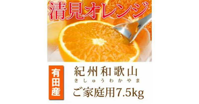 【ふるさと納税】【ご家庭用訳アリ】紀州有田産清見オレンジ　7.5kg【2025年3月下旬以降発送】【先行予約】【UT54】 | 訳あり 和歌山 九度山町 ふるさと 取り寄せ ご当地 訳アリ わけあり オレンジ フルーツ 果物 くだもの 清見オレンジ 柑橘類 かんきつ類 柑橘