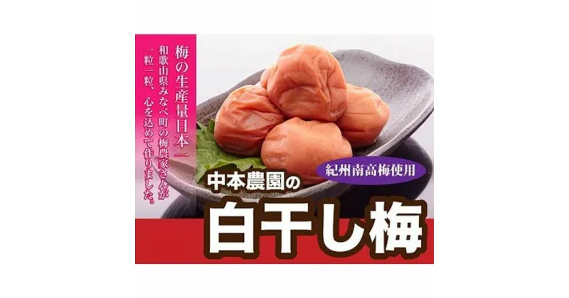 【ふるさと納税】本場和歌山みなべの昔ながらのしょっぱい梅干し 1.5kg（500g×3セット） | 梅干し 和歌山県 和歌山 九度山町 ふるさと 納税 楽天ふるさと 支援 支援品 返礼品 お礼の品 名産 名産品 特産 特産品 九度山 和歌山県九度山町 グルメ お取り寄せ 梅 うめ ウメ