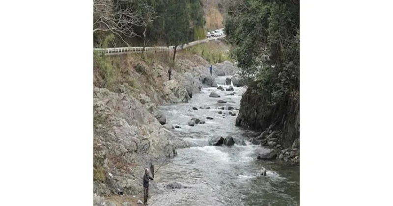 【ふるさと納税】アマゴ釣り遊漁承認証 年券1枚 | 和歌山県 和歌山 九度山町 ふるさと 納税 楽天ふるさと 支援 支援品 返礼品 お礼の品 九度山 和歌山県九度山町 チケット 券 釣り つり 体験 アウトドア レジャー アクティビティ フィッシング