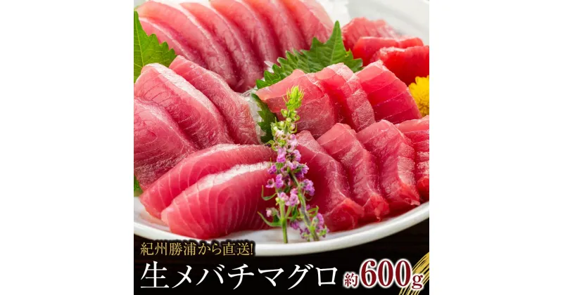 【ふるさと納税】生まぐろの本場紀州勝浦から直送！　生メバチマグロ 約600g | マグロ 和歌山県 九度山町 ふるさと 納税 楽天ふるさと 名産品 取り寄せ グルメ お取り寄せグルメ ご当地グルメ 魚介類 魚介 新鮮 海鮮 海の幸 まぐろ 鮪 刺身 さしみ 生マグロ 切り身