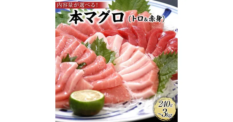 【ふるさと納税】【選べる内容量（240g・500g・1.35kg・3kg）】プレミア和歌山認証品 本マグロ（養殖）トロ＆赤身セット | 和歌山県 九度山町 和歌山 楽天ふるさと 納税 返礼品 お取り寄せグルメ 取り寄せ グルメ 魚介 魚 海の幸 マグロ まぐろ 赤身 鮪 本まぐろ 本マグロ