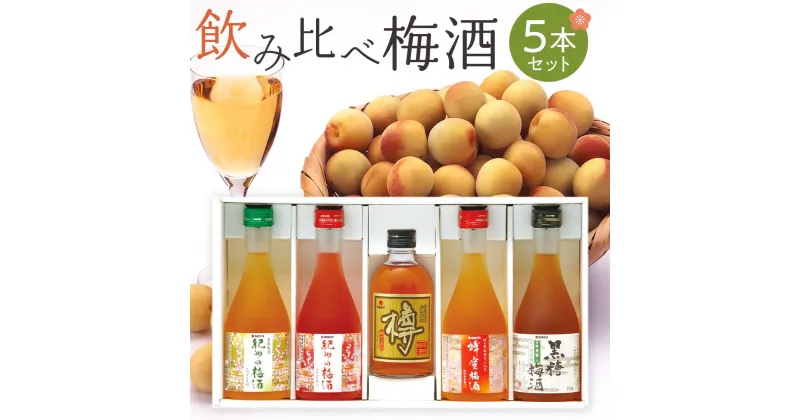 【ふるさと納税】紀州の梅酒 飲み比べ5本セット（白・赤・蜂蜜・黒糖・樽）【MG69】 | 和歌山県 和歌山 九度山町 楽天ふるさと 納税 梅酒 酒 お酒 アルコール飲料 飲み比べセット 飲み比べ 飲み物 ギフト 贈り物 プレゼント 贈答品 ギフトセット おいしい 美味しい 地酒