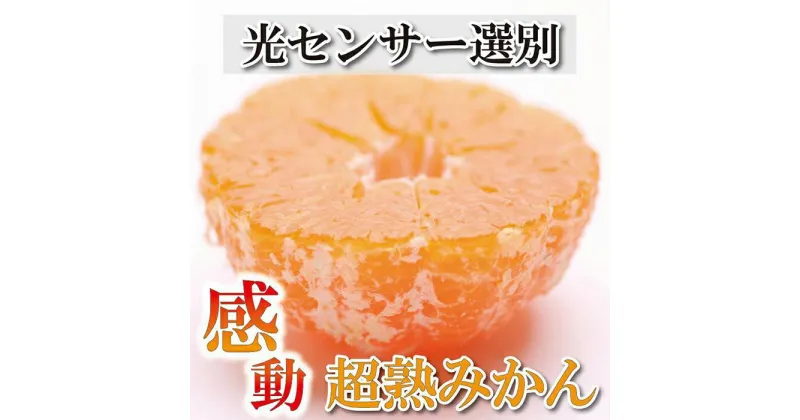 【ふるさと納税】家庭用 超熟有田みかん5kg+150g（傷み補償分）訳あり＜2024年11月より発送＞ | 和歌山 みかん ミカン 蜜柑 柑橘 柑橘類 かんきつ 果物 フルーツ 旬の果物 食品