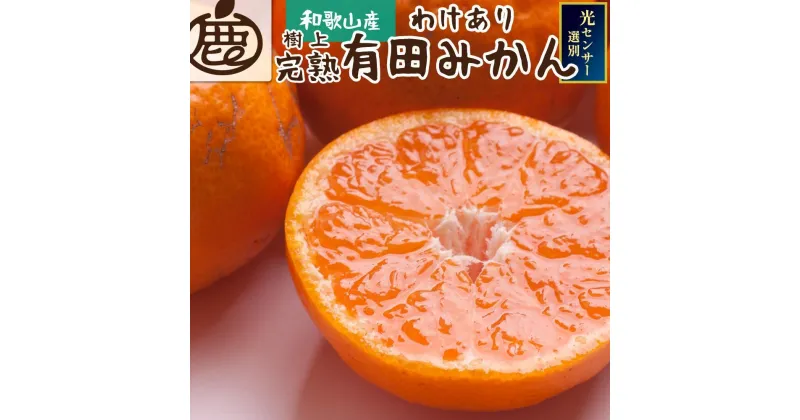 【ふるさと納税】家庭用 完熟有田みかん3kg+90g（傷み補償分）訳あり＜先行予約＞ | 和歌山 みかん ミカン 蜜柑 柑橘 柑橘類 かんきつ 果物 フルーツ 旬の果物 食品