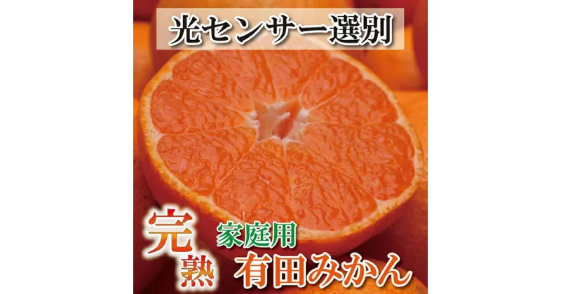 【ふるさと納税】家庭用 完熟有田みかん10kg+300g（傷み補償分）訳あり＜11月より発送＞ | 和歌山 みかん ミカン 蜜柑 柑橘 柑橘類 かんきつ 果物 フルーツ 旬の果物 食品