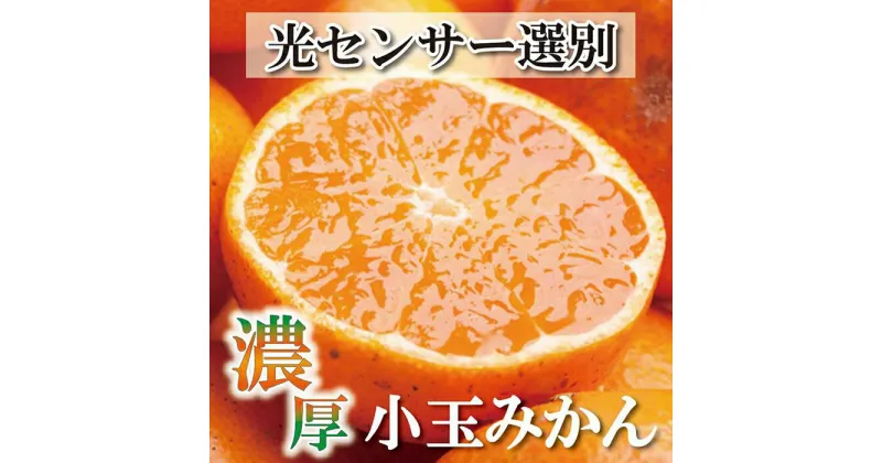 【ふるさと納税】家庭用 小玉な有田みかん5kg+150g（傷み補償分）訳あり＜11月より発送＞ | 和歌山県 和歌山 九度山町 楽天ふるさと 納税 みかん ミカン 蜜柑 柑橘 柑橘類 かんきつ 果物 フルーツ 食品