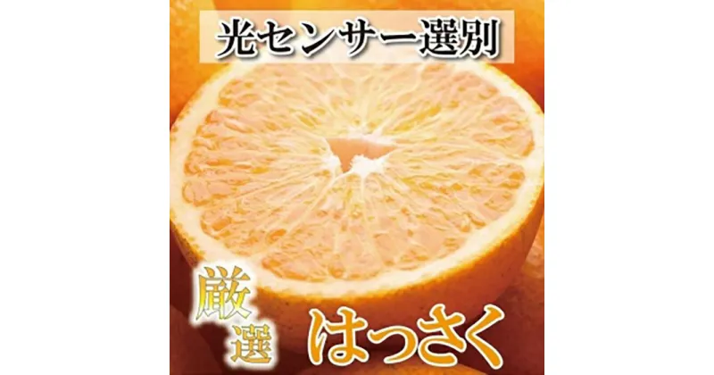 【ふるさと納税】＜1月より発送＞厳選 はっさく10kg+300g（傷み補償分）【八朔みかん・ハッサク】 | 和歌山 みかん ミカン 蜜柑 柑橘 柑橘類 かんきつ 果物 くだもの フルーツ 旬の果物 食品 食べ物 果実 おいしい