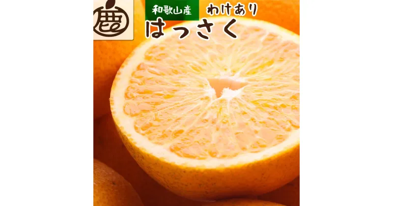 【ふるさと納税】＜1月より発送＞家庭用 はっさく6.5kg+195g（傷み補償分）【八朔みかん・ハッサク】【わけあり・訳あり】 | 和歌山県 和歌山 九度山町 楽天ふるさと 納税 みかん ミカン 蜜柑 柑橘 柑橘類 かんきつ