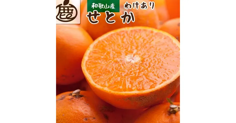 【ふるさと納税】＜2月より発送＞家庭用 せとか3kg+90g（傷み補償分）【柑橘・春みかんの王様】【わけあり・訳あり】【光センサー選別】 | 和歌山県 和歌山 九度山町 楽天ふるさと 納税 みかん ミカン 蜜柑 柑橘