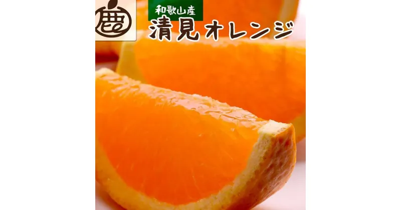 【ふるさと納税】＜2月より発送＞厳選 清見オレンジ3.5kg+105g（傷み補償分）【光センサー食頃出荷】【樹上完熟きよみオレンジ】 | 和歌山県 和歌山 九度山町 楽天ふるさと 納税 みかん ミカン 蜜柑 柑橘 柑橘類 かんきつ 果物 フルーツ 旬の果物 食品