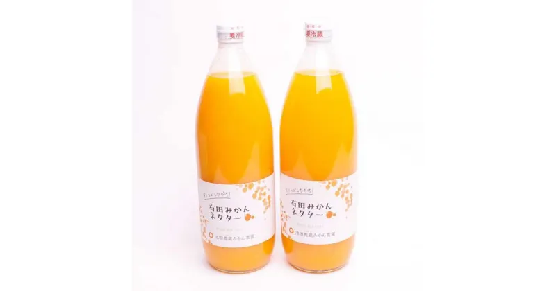 【ふるさと納税】とろり みかんネクター1000ml×2本【無添加100%ストレートジュース】【有田みかんジュース】 | フルーツ 果物 くだもの 食品 人気 おすすめ 送料無料