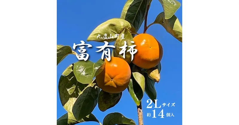 【ふるさと納税】【先行予約】富有柿（青秀以上2Lサイズ約14個入り）【2024年11月中旬より発送】