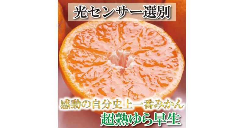 【ふるさと納税】厳選 超熟有田みかん2kg+60g（傷み補償分）＜2024年11月より発送＞ | 和歌山 みかん ミカン 蜜柑 柑橘 柑橘類 かんきつ 果物 フルーツ 旬の果物 食品