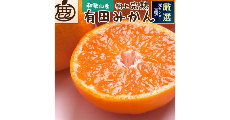 【ふるさと納税】厳選 完熟有田みかん2.5kg+75g（傷み補償分）＜先行予約＞