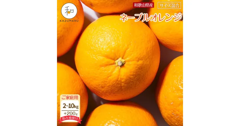 【ふるさと納税】家庭用 森本農園の手選別 ネーブルオレンジ 2～10kg 各200g 傷み補償付 和歌山県産 サイズ混合 【北海道・沖縄・離島配送不可】 | みかん 蜜柑 フルーツ 果物 くだもの 食品 人気 おすすめ 送料無料