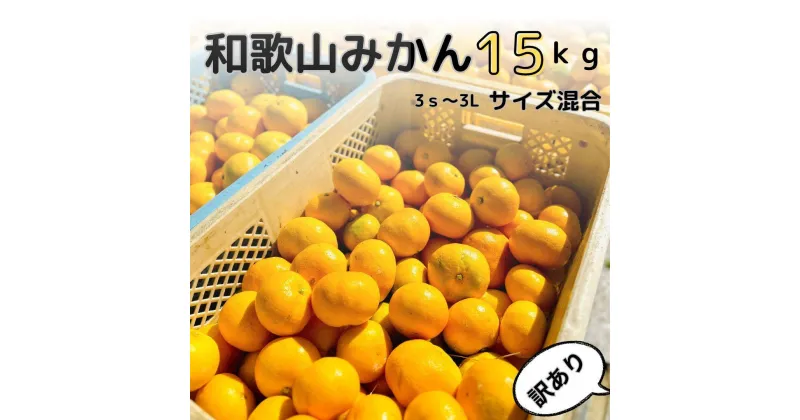 【ふるさと納税】【訳あり】和歌山みかん約14kg+補償分約1kg サイズ混合 11月より順次発送 訳ありみかん 【red3】 | みかん 蜜柑 フルーツ 果物 くだもの 食品 人気 おすすめ 送料無料 産地直送